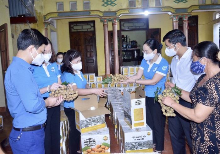 Hội LHPN tỉnh Hưng Yên phối hợp hỗ trợ tiêu thụ hơn 1 tấn nhãn cho bà con nông dân