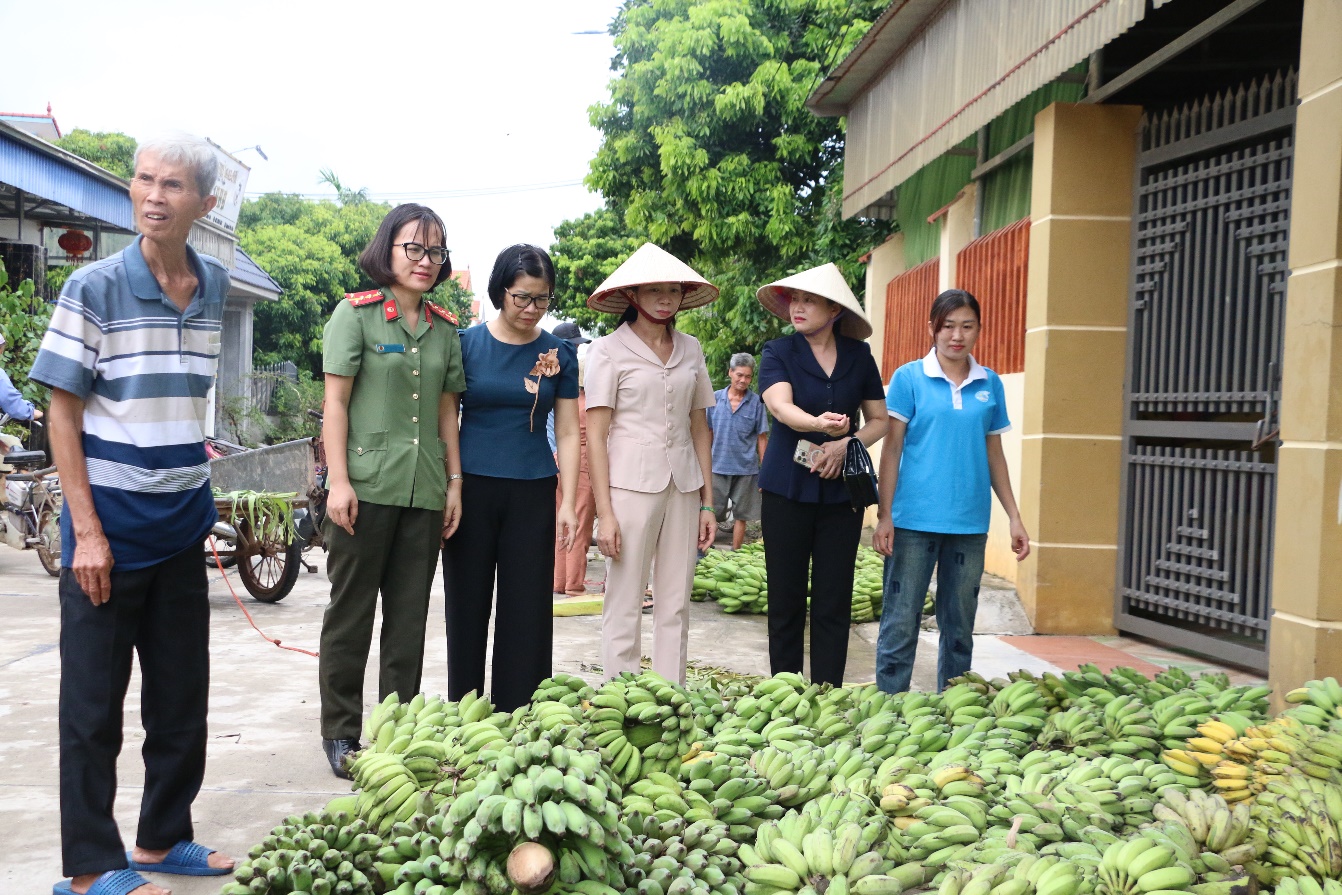 Hội LHPN thành phố hỗ trợ nông dân 