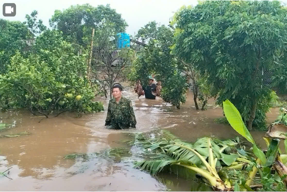 Ngân hàng Chính sách xã hội hỗ trợ khách hàng  vay vốn khắc phục hậu quả do cơn bão số 3 và mưa lũ sau bão