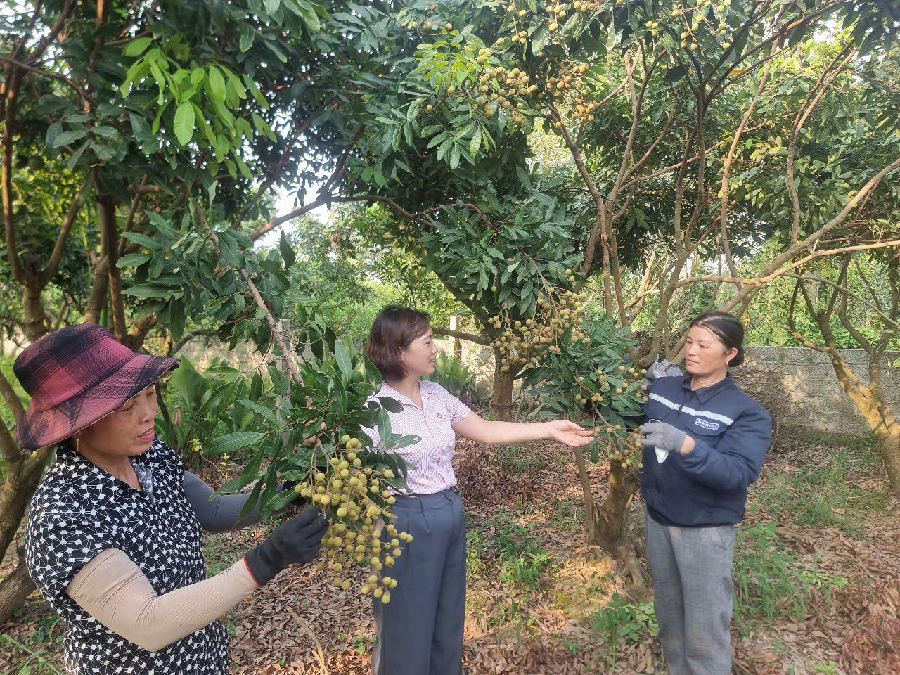 Kiểm tra, giám sát của thành viên Ban đại diện Hội đồng quản trị Ngân hàng Chính sách xã hội (HĐQT NHCSXH) thành phố Hưng Yên về hoạt động quản lý nguồn vốn tín dụng chính sách tại xã Hoàng Hanh