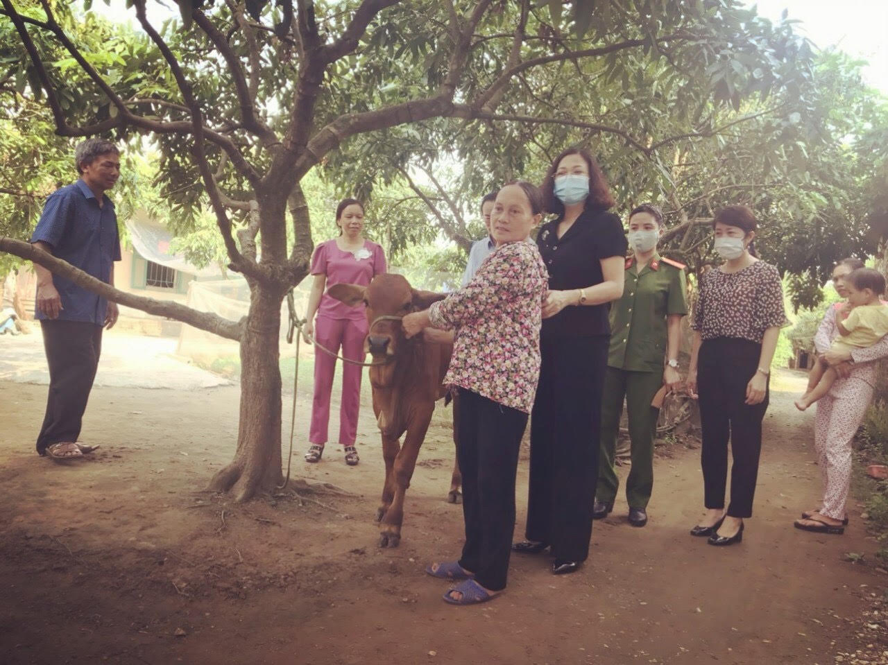 Hội Phụ nữ thành phố, các nhà hảo tâm trao bò sinh sản cho hộ nghèo trên địa bàn 2 xã Trung Nghĩa và Tân Hưng