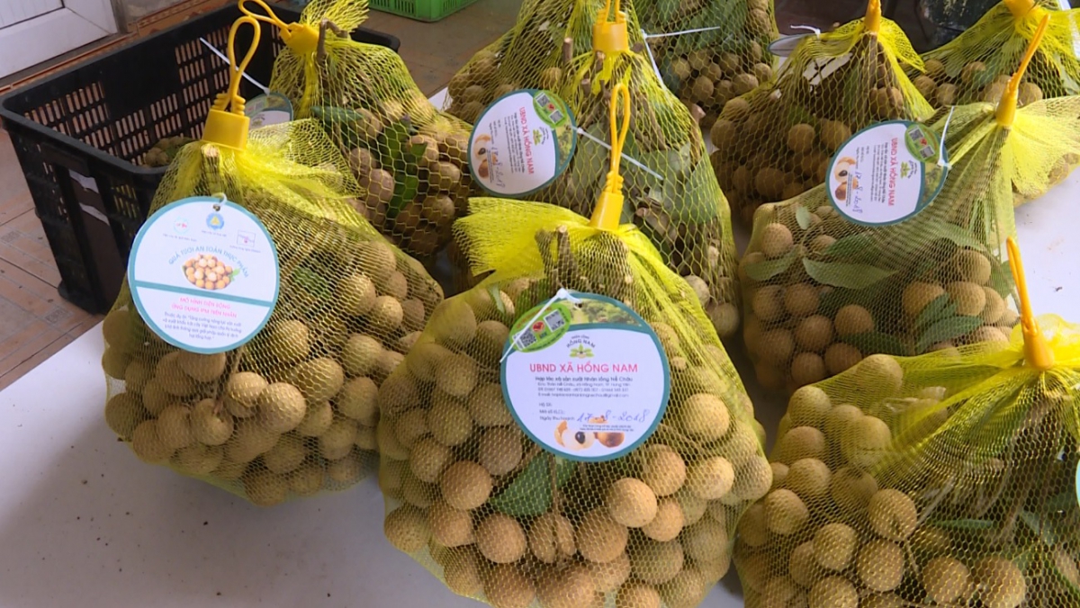 Thu hàng trăm triệu đồng từ trồng nhãn VietGap ở thành phố Hưng Yên