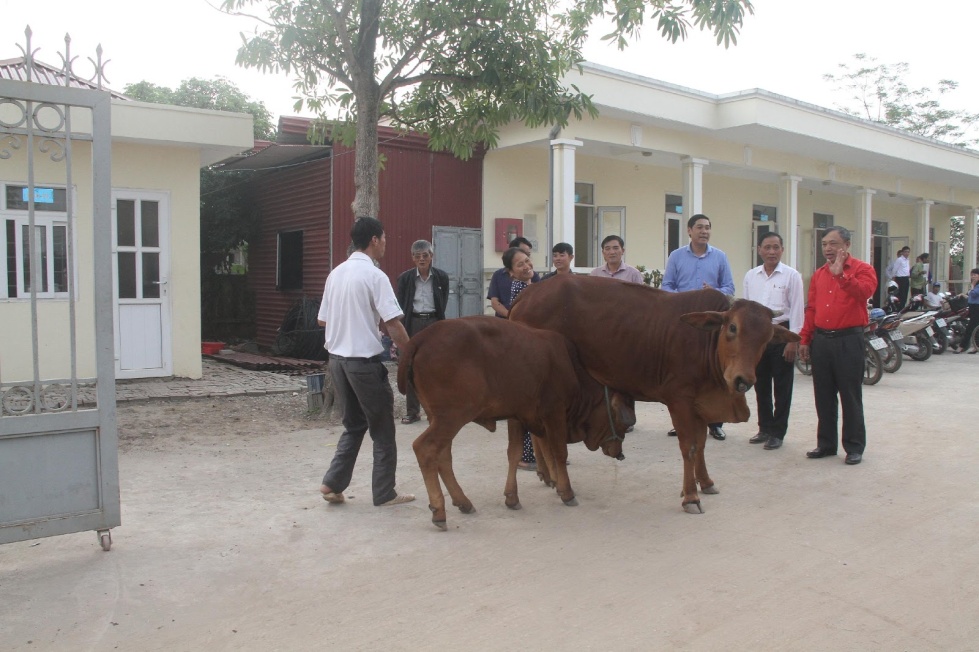 Trao tặng bò sinh sản  cho 2 gia đình nạn nhân chất độc da cam ở xã Hùng Cường